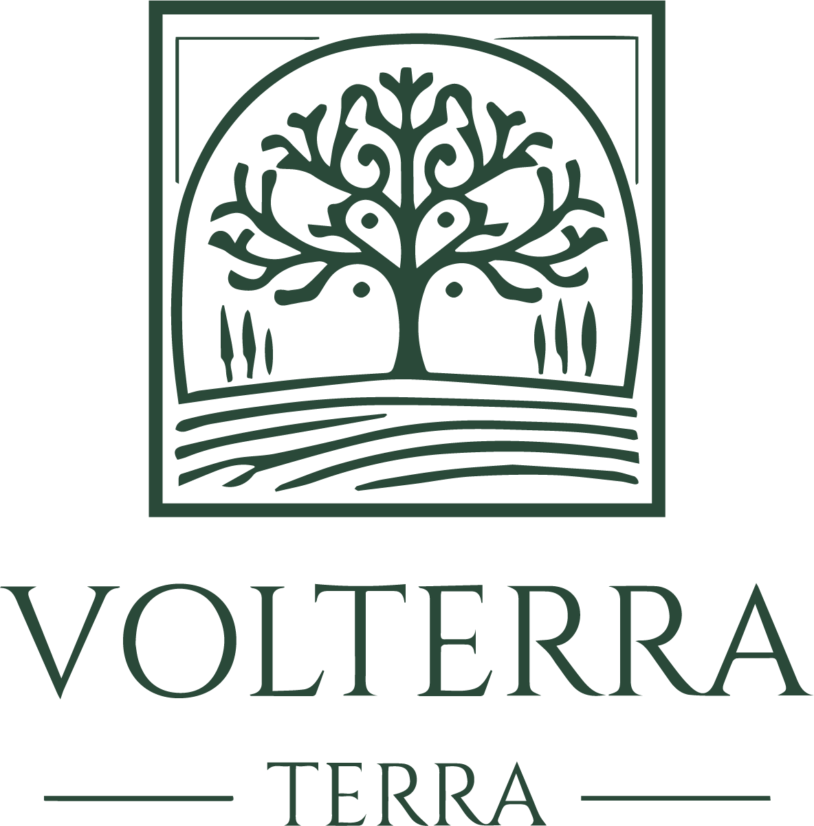 Volterra logo